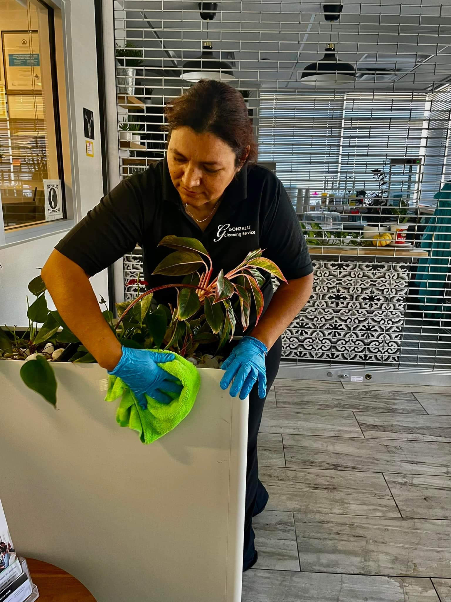 Detail-oriented cleaning