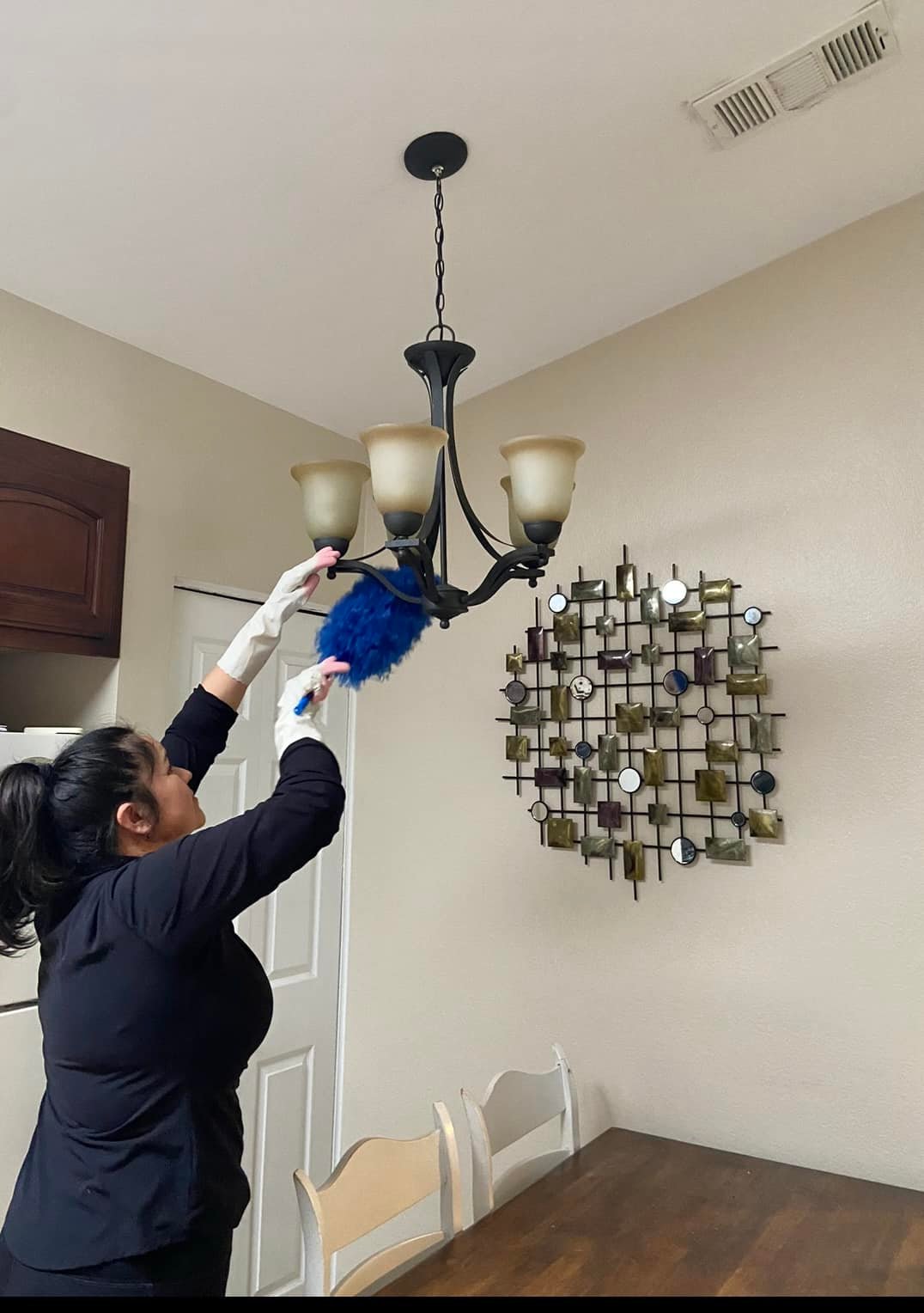 Dusting service